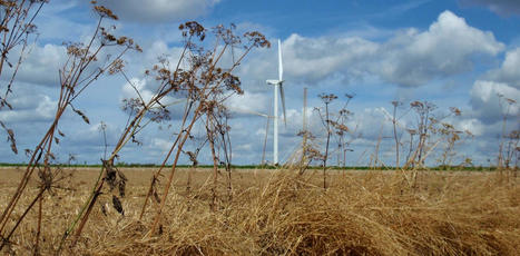 Au nom du paysage ? Éoliennes, méthaniseurs… pourquoi les projets renouvelables divisent | Paysage - Agriculture | Scoop.it