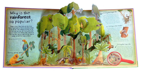Pop-Up Books Make Environmental Science Easy-Peasy For Kids | Rainforest CLASSROOM | Scoop.it