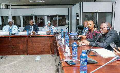 DECLARATION OF SOLIDARITY FOR THE CESSATION OF THE WAR IN THE EAST OF THE DEMOCRATIC REPUBLIC OF CONGO | PARLIAMENTS - (PAP) PAN AFRICAN PARLIAMENT | Scoop.it