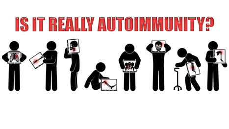 Is It Really Autoimmunity? | El Paso, TX. | Part I | Doctor Of Chiropractic | Functional Medicine "Advancing The Medical Health Model" | Scoop.it