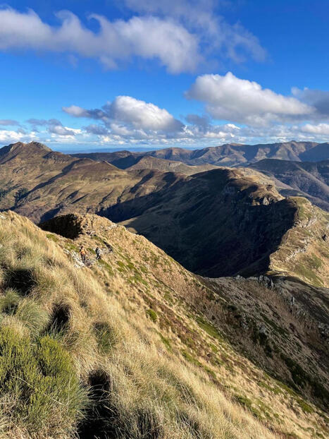 Lancement de M&eacute;decine de territoire : quand la sant&eacute; se pense &agrave; l'&eacute;chelle des paysages - Prat-de-Bouc, Cantal -&nbsp;Erable | Biodiversit&eacute; | Scoop.it