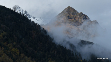 De l'or blanc dans le réceptacle de l'Arbizon | Vallées d'Aure & Louron - Pyrénées | Scoop.it