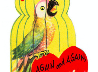 Talven hauskin ja hirvitt&auml;vin lelu on sanoja arpova papukaija&nbsp; | 1Uutiset - Lukemisen t&auml;hden | Scoop.it