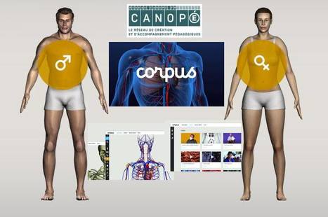 Corpus un programme transmédia pour les 12-18 ans @reseau_canope | -thécaires | Espace numérique et autoformation | Scoop.it