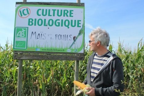 Bio&nbsp;: &laquo;&nbsp;Nous sommes la mauvaise conscience de l&rsquo;agriculture conventionnelle&nbsp;&raquo; | Paysage - Agriculture | Scoop.it
