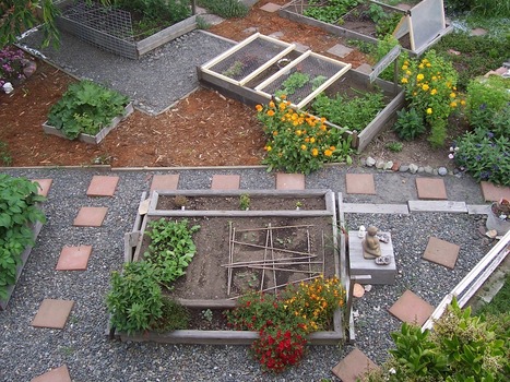AgriUrbain | la veille scientifique sur la recherche et les projets en agriculture urbaine | ESPACES VEGETALISES URBAINS | Scoop.it