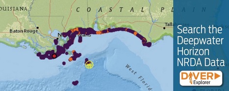 Deepwater Horizon Samples...FINALLY | Coastal Restoration | Scoop.it