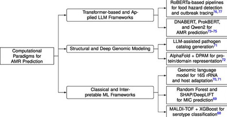 Computational paradigms for antimicrobial resistance prediction: integrating multi-omics, structural modeling, and foundation artificial intelligence systems | bft | RMH | Scoop.it