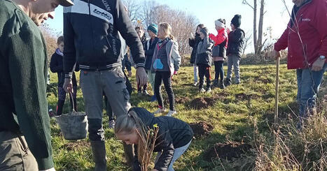 Parc naturel r&eacute;gional du Doubs Horloger. 20 000 arbres plant&eacute;s pour la restauration de la trame verte | Revue de presse | L'habitat & son environnement dans le Doubs : Architecture. Urbanisme. Environnement. Paysage. Logement | Scoop.it