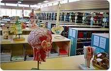 HLWIKI Canada #wikisalud | Mundo WIKI | Scoop.it