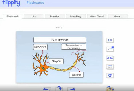 Tutoriel Flippity - Thot Cursus | Courants technos | Scoop.it