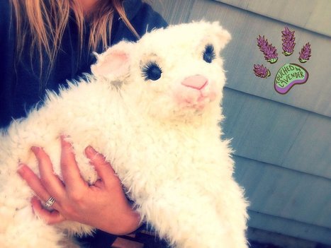 Recycled Clothing Lamb | 1001 Recycling Ideas ! | Scoop.it