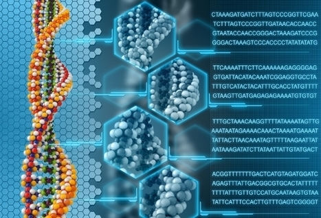 Se crea material genético sintético y capaz de evolucionar - Ojo Cientifico | Mi Cajón de Ideas | Scoop.it