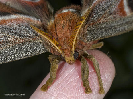 Our Olympus Kit | Mirrorless Cameras | Scoop.it