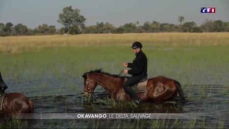 Le Journal du week-end - À la découverte du delta de l'Okavango, au Botswana | Cheval et Nature | Scoop.it