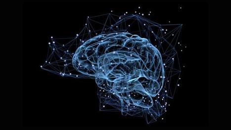 We&rsquo;re Growing Brains Outside of the Body&nbsp; | digisapiens v.1.0 | Scoop.it