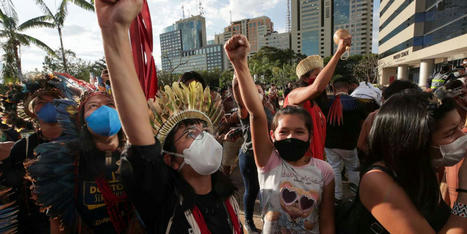 Brésil : des tribus indigènes demandent à la CPI d’ouvrir une enquête sur Bolsonaro. Les actions du président « constituent des crimes contre l’humanité, [de] génocide et écocide ».  | Variétés entomologiques | Scoop.it