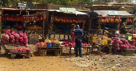 KARIBU!   BIENVENU!   WELCOME! | Food & Nutrition Security in East Africa | Scoop.it