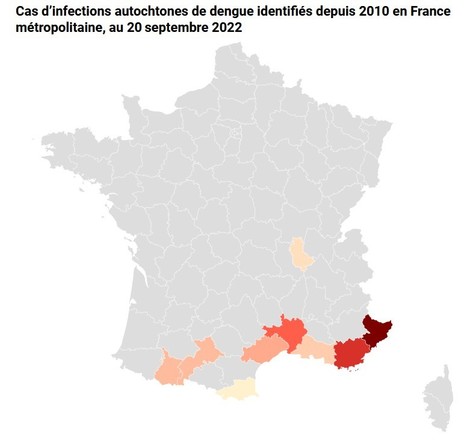 Les cas de dengue explosent en France m&eacute;tropolitaine&nbsp;: que faut-il savoir&nbsp;? | EntomoNews | Scoop.it