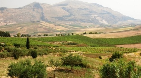 The Art of Interior Sicilia's Farms  . . .  Catania to Palermo by Bus | Sicily Vacations | Scoop.it