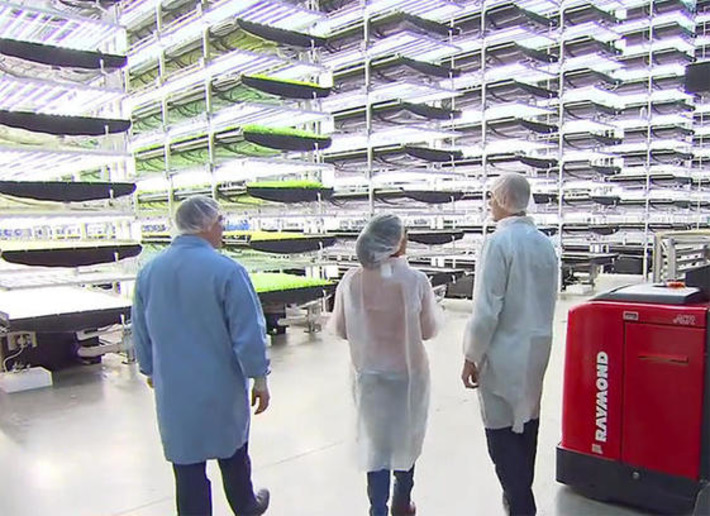 The growing trend of vertical farming | Almere Groene Stad | Scoop.it