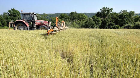 Nouvelles techniques g&eacute;nomiques&nbsp;: ces agriculteurs bio veulent briser le tabou | ITERG - Veille sectorielle | Scoop.it