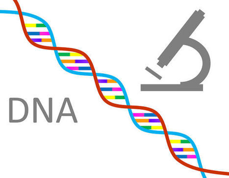 Immigration DNA Testing - SmarTest Labs | Smartest Lab | Scoop.it
