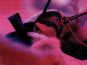 [INP-PURPAN] Des algotithmes pour les exploitations | Que sont-ils devenus ? | Scoop.it
