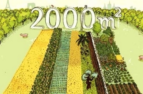 Projet 2 000 m2 : prouver que l&rsquo;on peut nourrir le Monde dans le respect de l&rsquo;environnement | Innovation sociale | Scoop.it