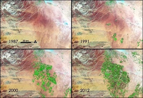 Fields of Green Spring up in Saudi Arabia | Stage 4 Water in the World | Scoop.it