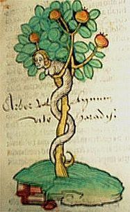 List of florilegia and botanical codices - Wikipedia, the free encyclopedia | Natural Products Chemistry Breaking News | Scoop.it