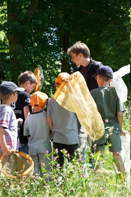 10 jours d'animations exceptionnelles pour les scolaires en juin | Variétés entomologiques | Scoop.it