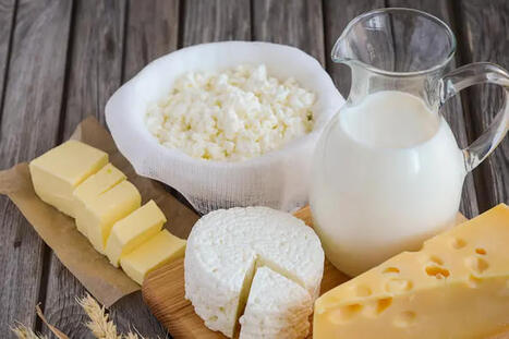 L&rsquo;industrie laiti&egrave;re r&eacute;clame un &laquo; choc de production &raquo; pour relancer l&rsquo;investissement | AGROALIMENTAIRE | Scoop.it