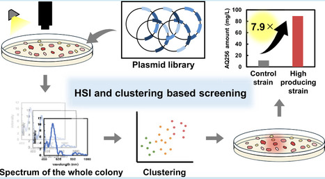 Development of a Clustering-Based Screening Using Hyperspectral Imaging for High-Producing Strains in Escherichia coli | asb | RMH | Scoop.it