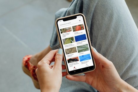 2023 : applications gratuites pour mieux connaître le monde végétal, diagnostiquer les maladies de vos plantes, identifier certains ravageurs. | Logiciel Gratuit Licence Gratuite | Scoop.it