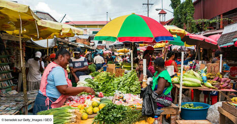 Un seul pays au monde atteint l'autosuffisance alimentaire, et ce n'est pas celui auquel vous pensez | Planète DDurable | Scoop.it
