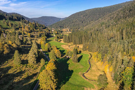 Massif des Vosges : la randonnée à faire absolument dans la vallée de Meurthe | Ma douce France | Scoop.it
