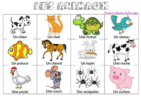 Apprendre les animaux aux enfants