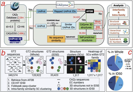 CAZyme3D: a database of 3D structures for carbo...