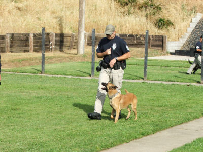  EN Dog Owner s Guide An Obedience Training Glossary Canismajor 