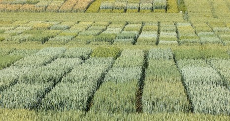 One Health&nbsp;: les recherches scientifiques doivent orienter les politiques publiques en sant&eacute; environnementale | EntomoScience | Scoop.it