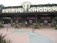 Gluten Free and Dairy Free at WDW: New Food Allergy Information Kiosk / Headquarters Opening at Disney's Animal Kingdom | Allergy (and clinical immunology) | Scoop.it