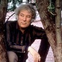 How Seamus Heaney overcame the Irish past | Seamus Heaney - In Memoriam | Scoop.it