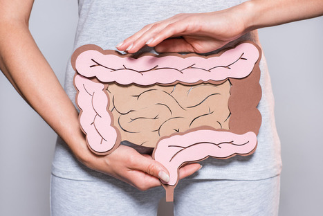 Akkermansia muciniphila: Intestine's Urolithin A Promoter. | EP Wellness & Functional Medicine Clinic | Call: 915-850-0900 or 915-412-6677 | The Gut "Connections to Health & Disease" | Scoop.it