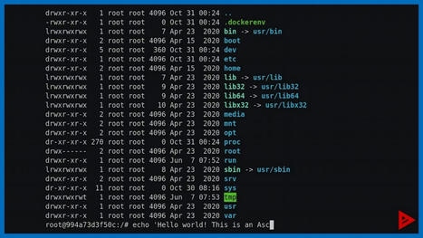 FOSDEM: Hacker auf dem eigenen Honeypot-Server beobachten | ICT Security-Sécurité PC et Internet | Scoop.it