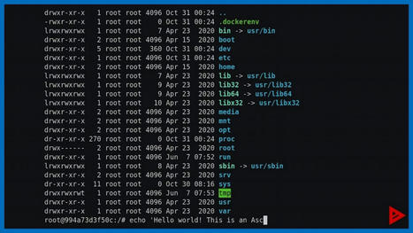 FOSDEM: Hacker auf dem eigenen Honeypot-Server beobachten | ICT Security-S&eacute;curit&eacute; PC et Internet | Scoop.it