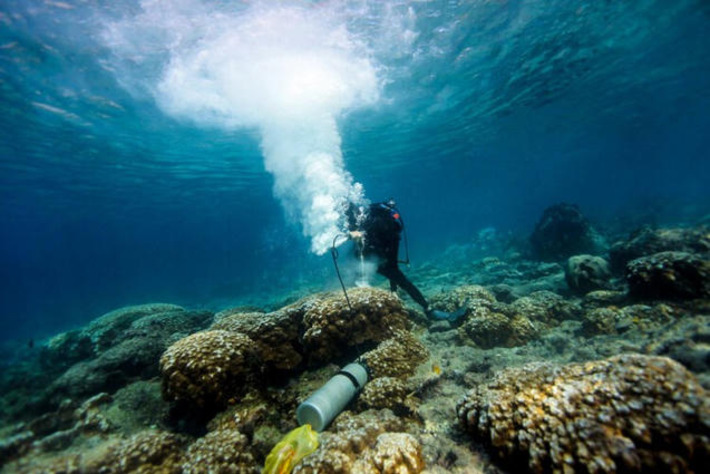 Galapagos corals suggest climate change drives stronger El Ni&ntilde;os | Science & Technology Report - Changing Our World | Scoop.it