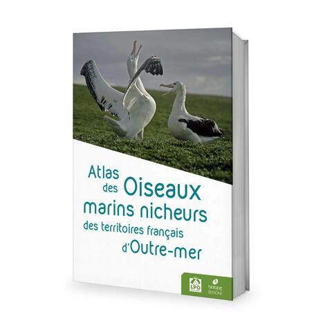 D&eacute;couvrez le premier atlas des oiseaux marins nicheurs d&rsquo;outremer ! | Biodiversit&eacute; | Scoop.it
