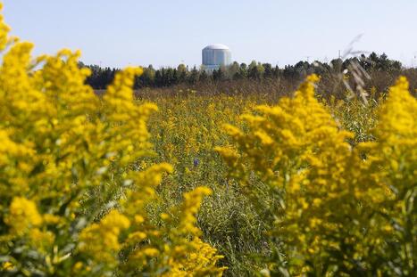 Nuclear energy gains bipartisan steam in Wisconsin heading into 2026 election season | Industry 411 - Waste Management | Scoop.it