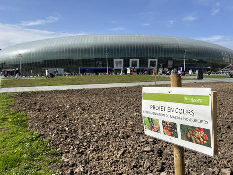 Strasbourg : 250 m2 dédiés à un potager viennent d’être créés juste devant la gare | Attitude BIO | Scoop.it